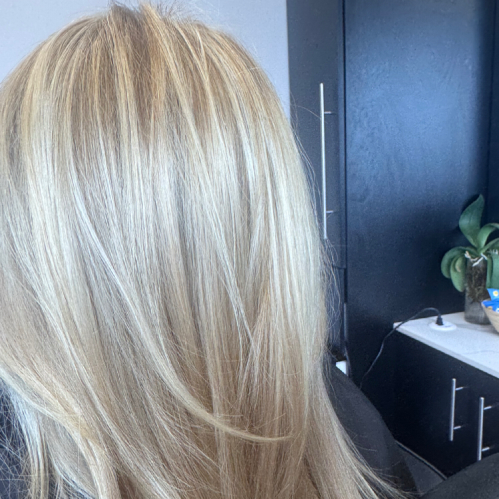 Signature Blonde + Haircut at Firefly Hair Studio in Jacksonville, FL