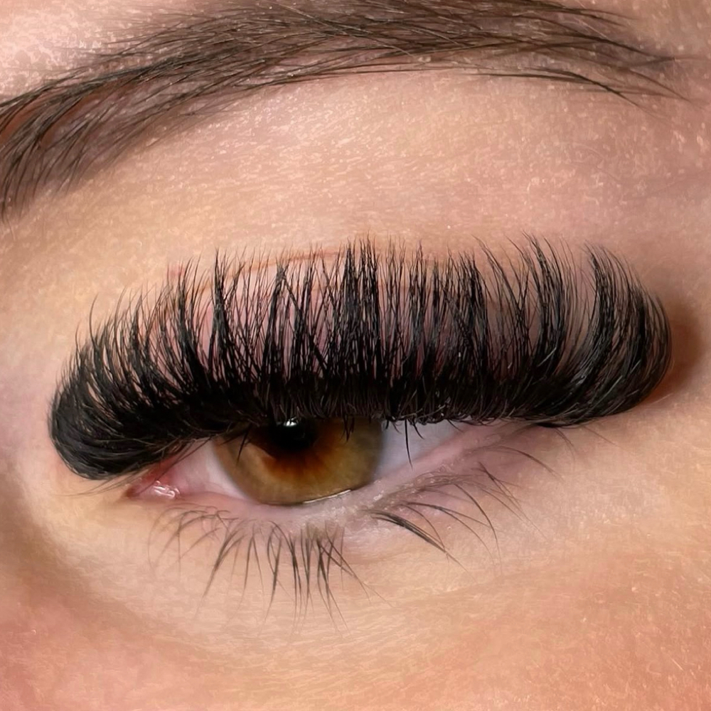 Mega Volume Full Set at American Lash Brand in Corona, CA