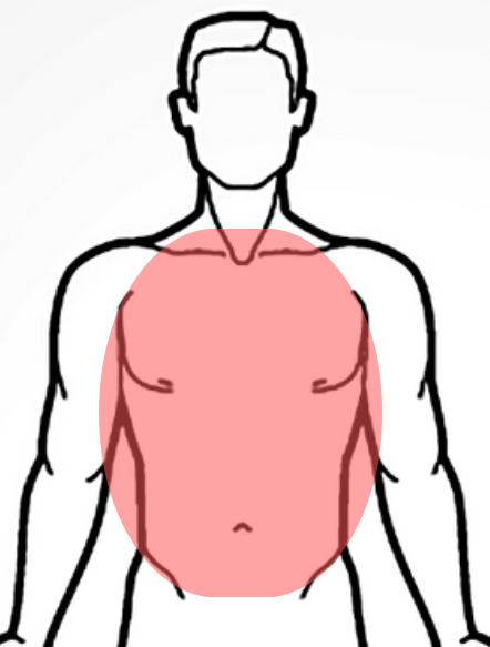 Full Chest Wax