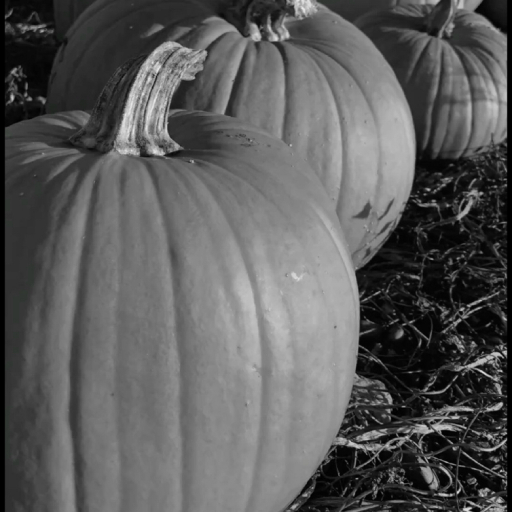 autumn facial at Serenity Skin Studio in Asheboro, NC