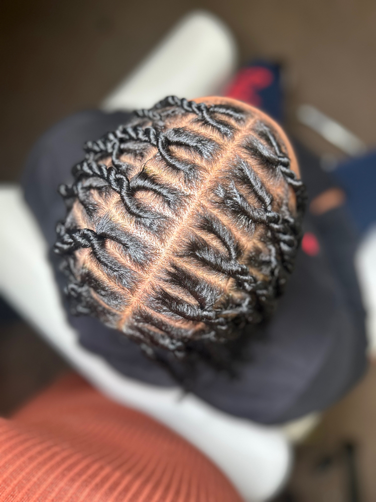 Invidible Locs