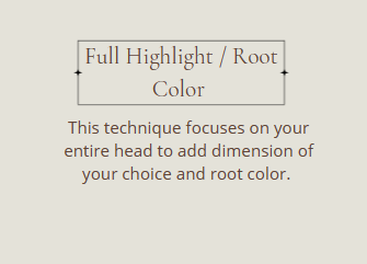 Full Highlight / Root Color