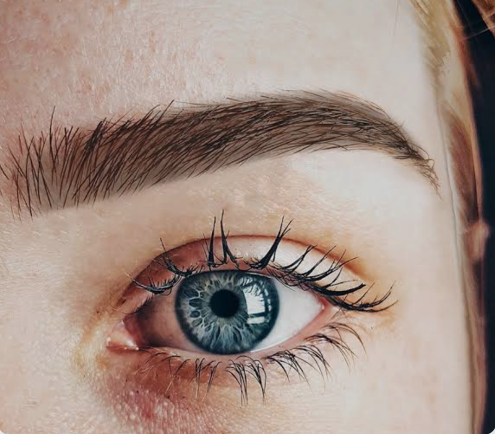 Henna Eyebrow Package