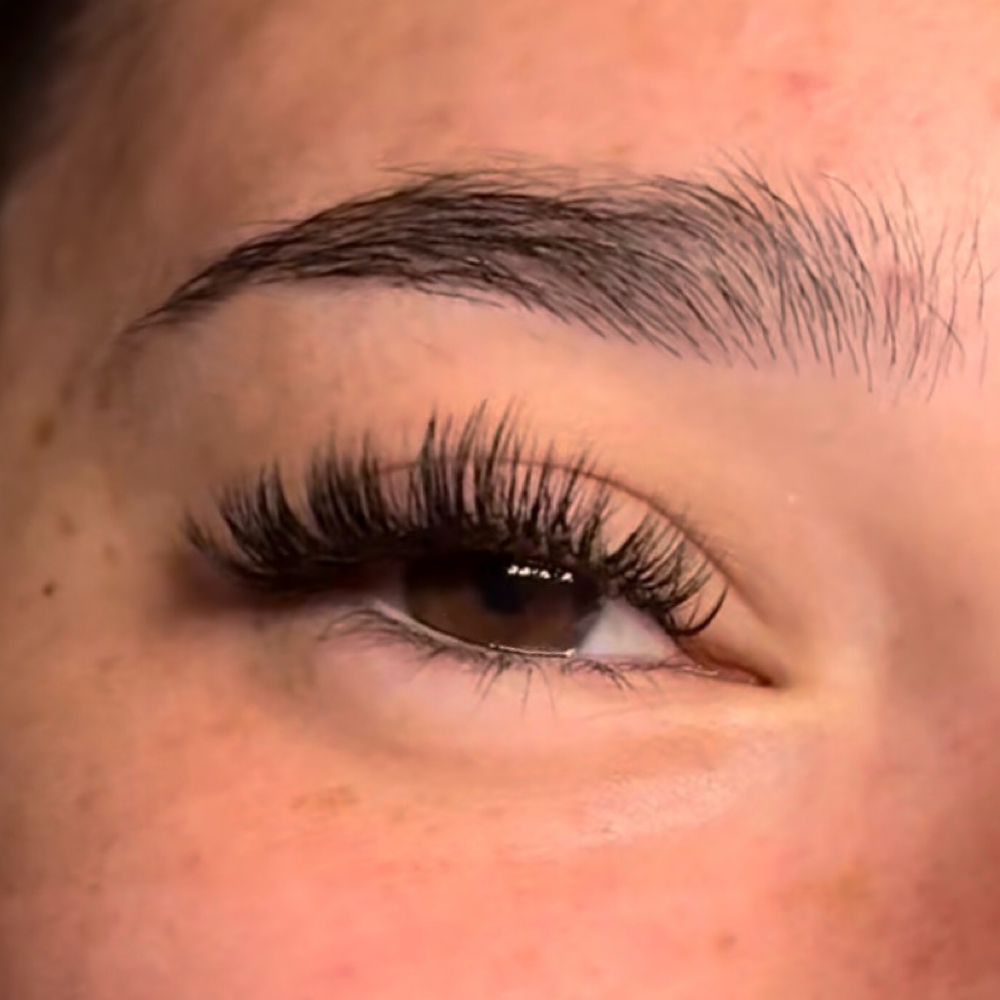 Black Lash Fill at Posh Love Beauty Studio in Myrtle Beach, SC