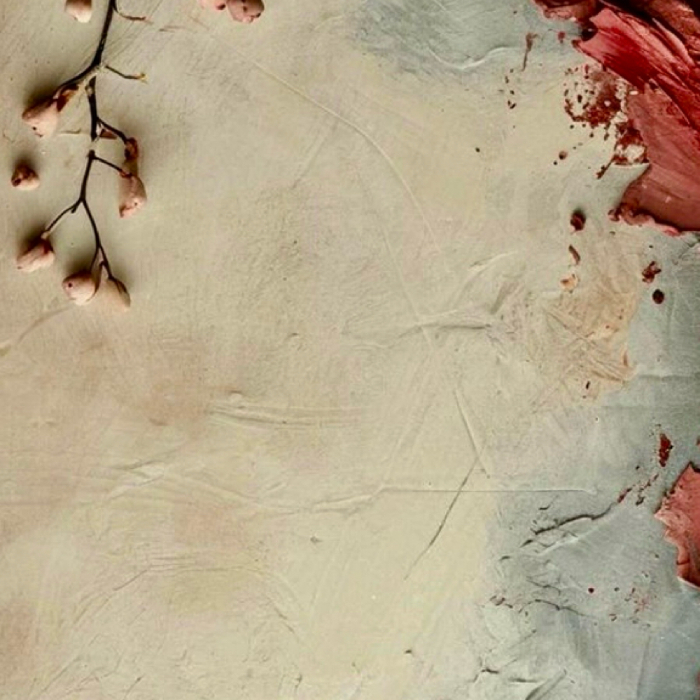 Partial Highlight at Stephanie Carneal Hair At Knowbull Beauty in Clarksville, TN