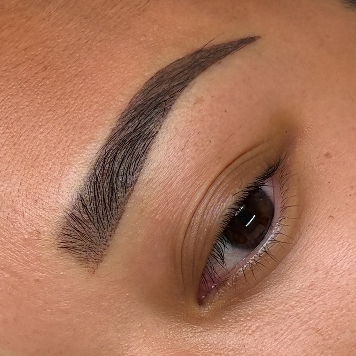 Permanent Makeup: 12-18 MO TOUCH UP at Holy Babe Brows in Mission Viejo, CA