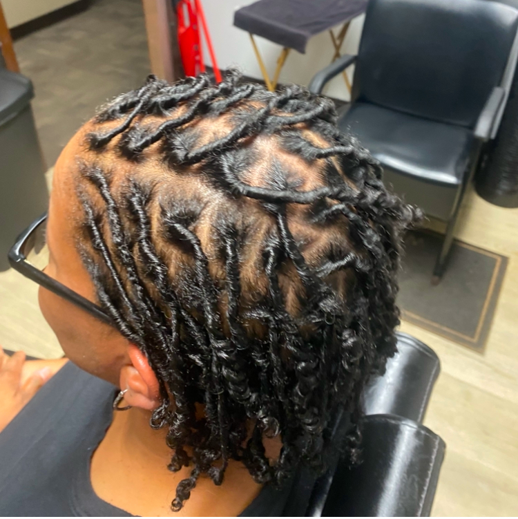 Starter Locs