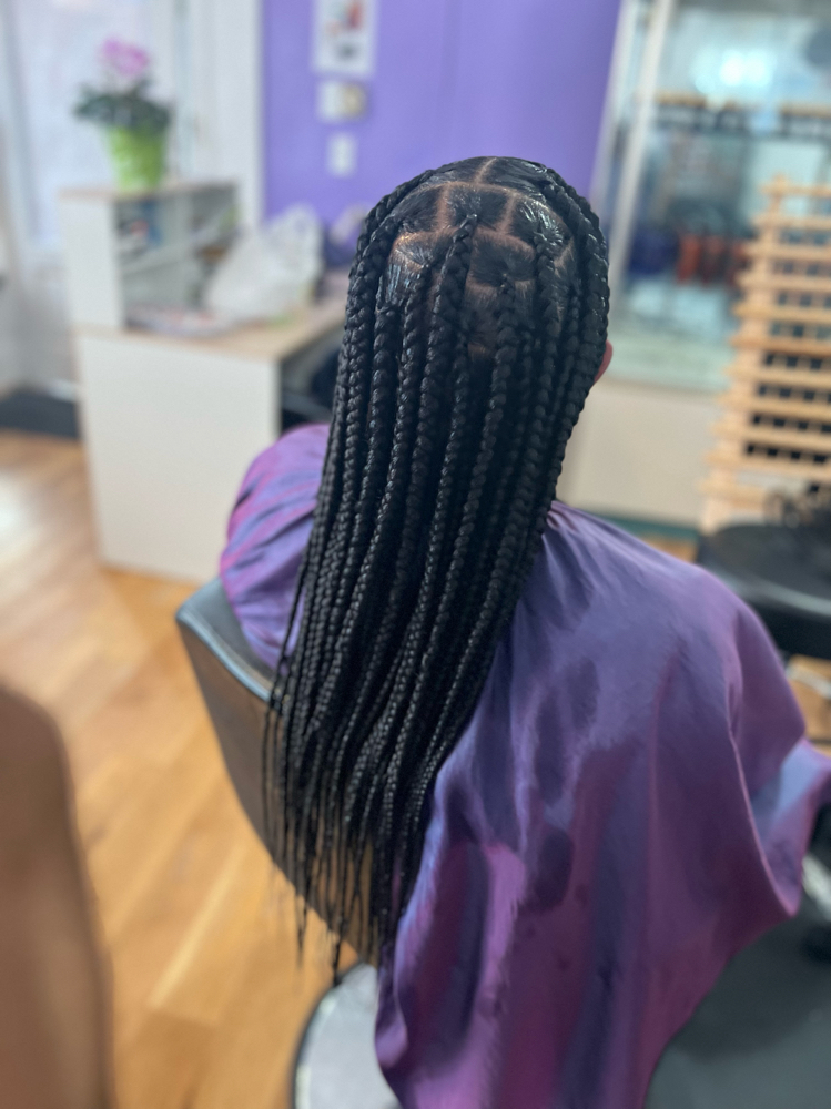 Knotless Braids ( Large )