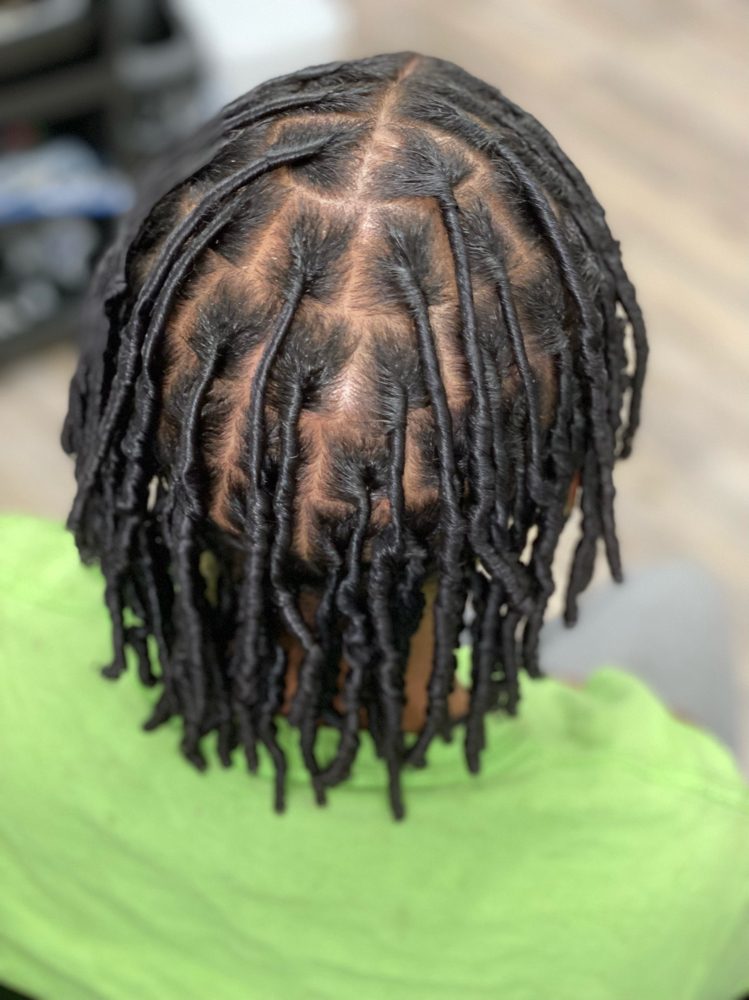 Starter Locs Large