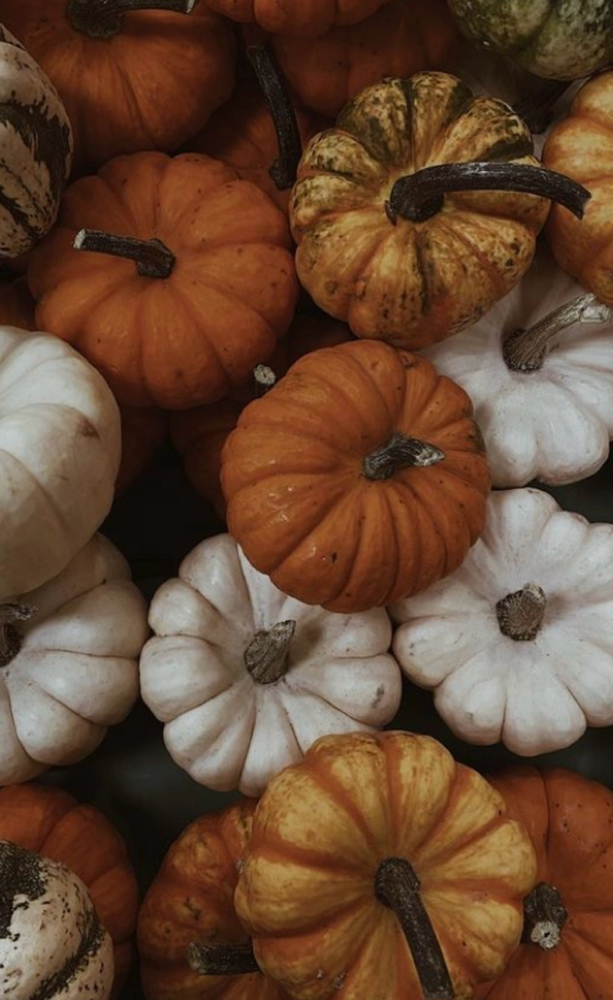 Autumn Reset Facial at Leeluxuryaesthetics in Sugar grove, IL