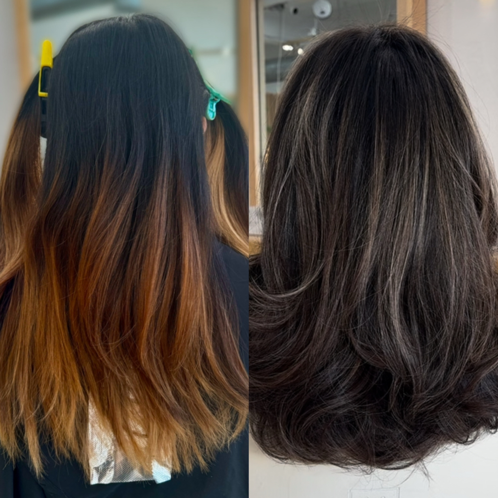 Reverse Balayage/ Lowlights