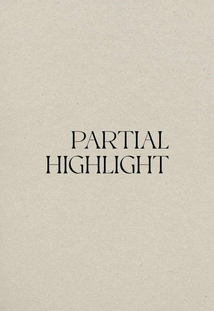 Partial Highlight + Blowdry