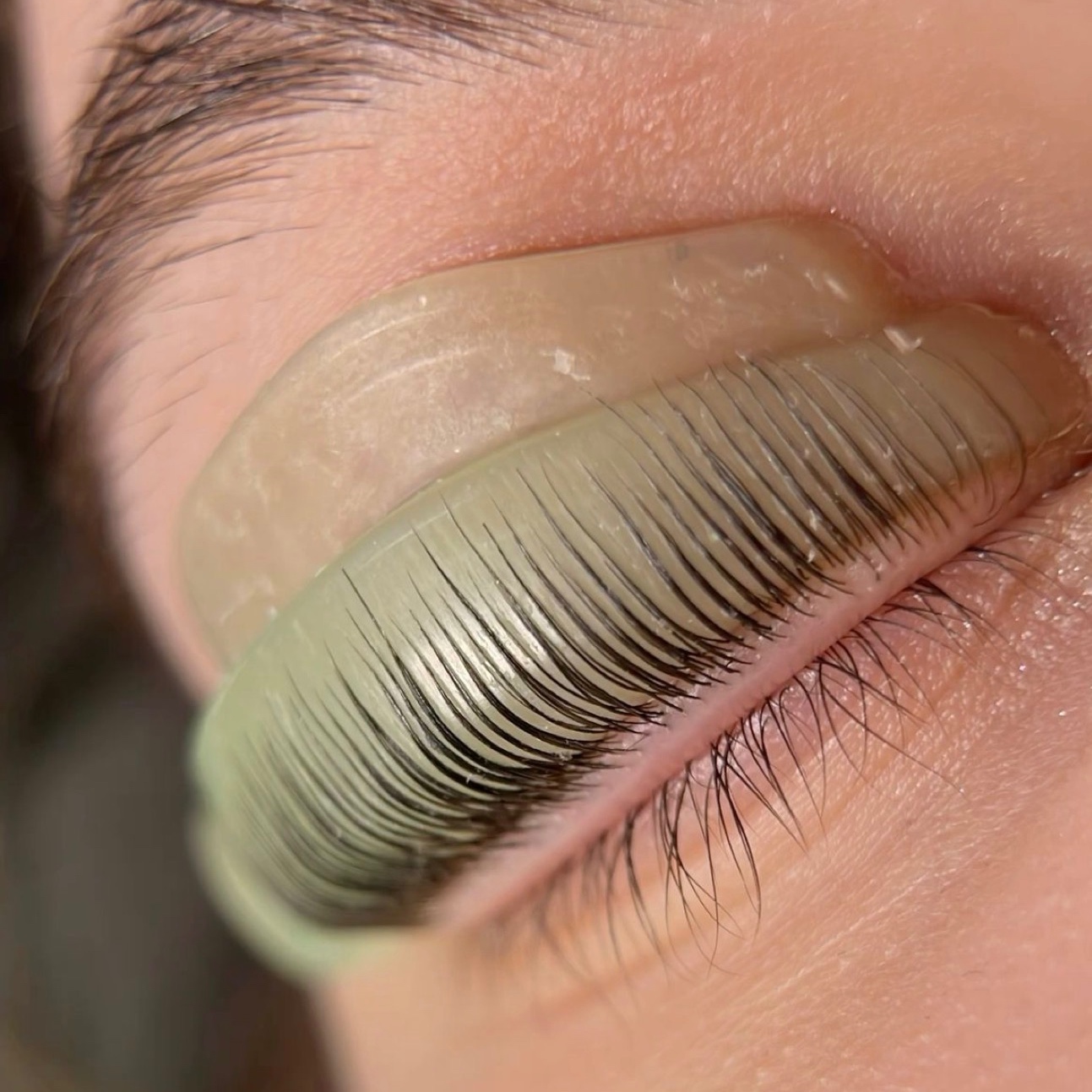 Lash Lift And Tint Combo at Bare + Bronzed in Fort Worth, TX