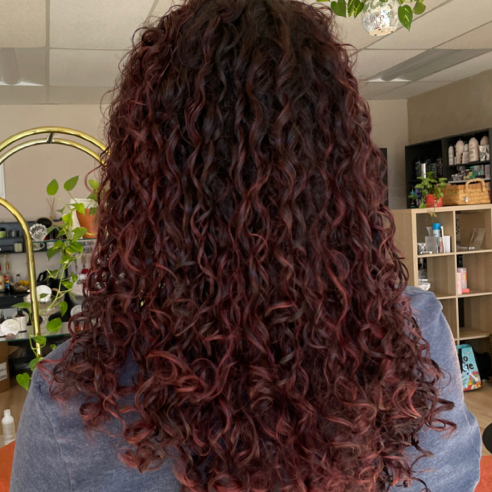 Curly Cut (wash but no blowdry) at AMBER Salon & Headspa in Austin, TX