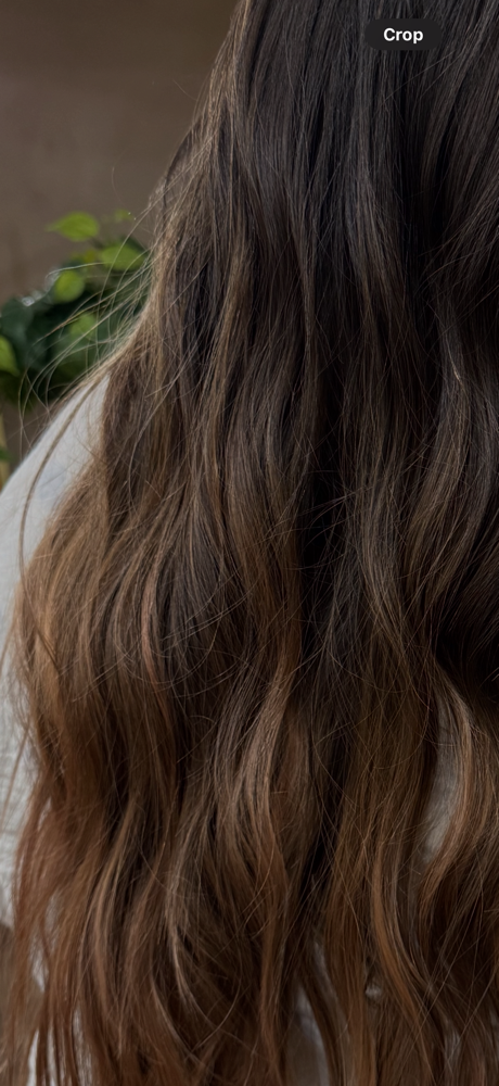 Balayage Package