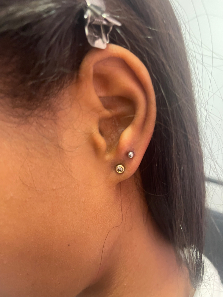 Ear/Oreja