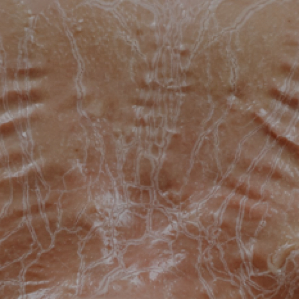 Circadia Zombie Facial at Starling Beauty in Benson, NC