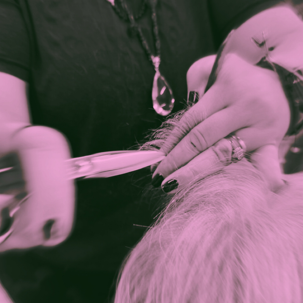 JAZZ Session at Kristen  Van Hair in Des Moines, IA