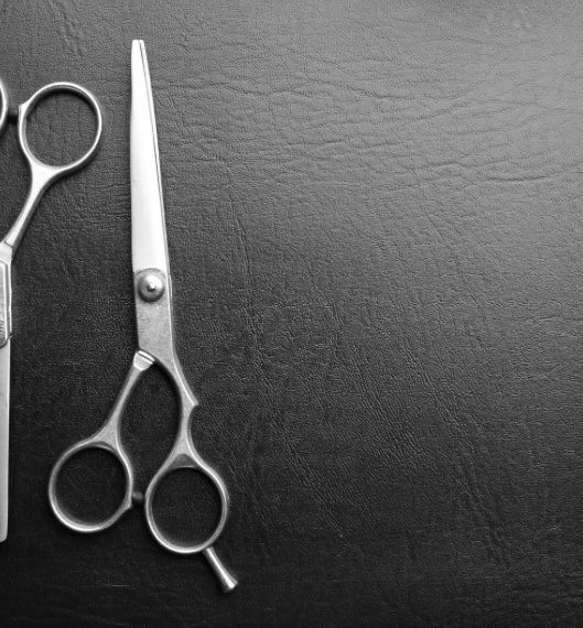 Clipper/Short Haircut