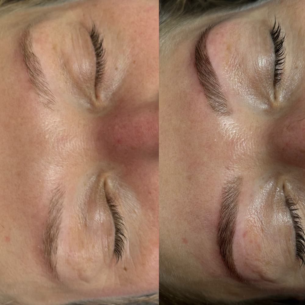 Brow Shape + Stain at The Brow Place in Denver, CO