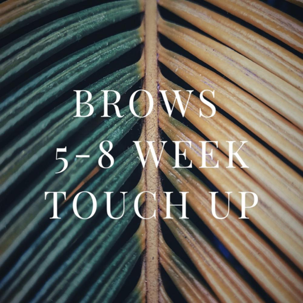 Brows Touch Up (5-8weeks) at STERLING INK & GLO in El Cajon, CA