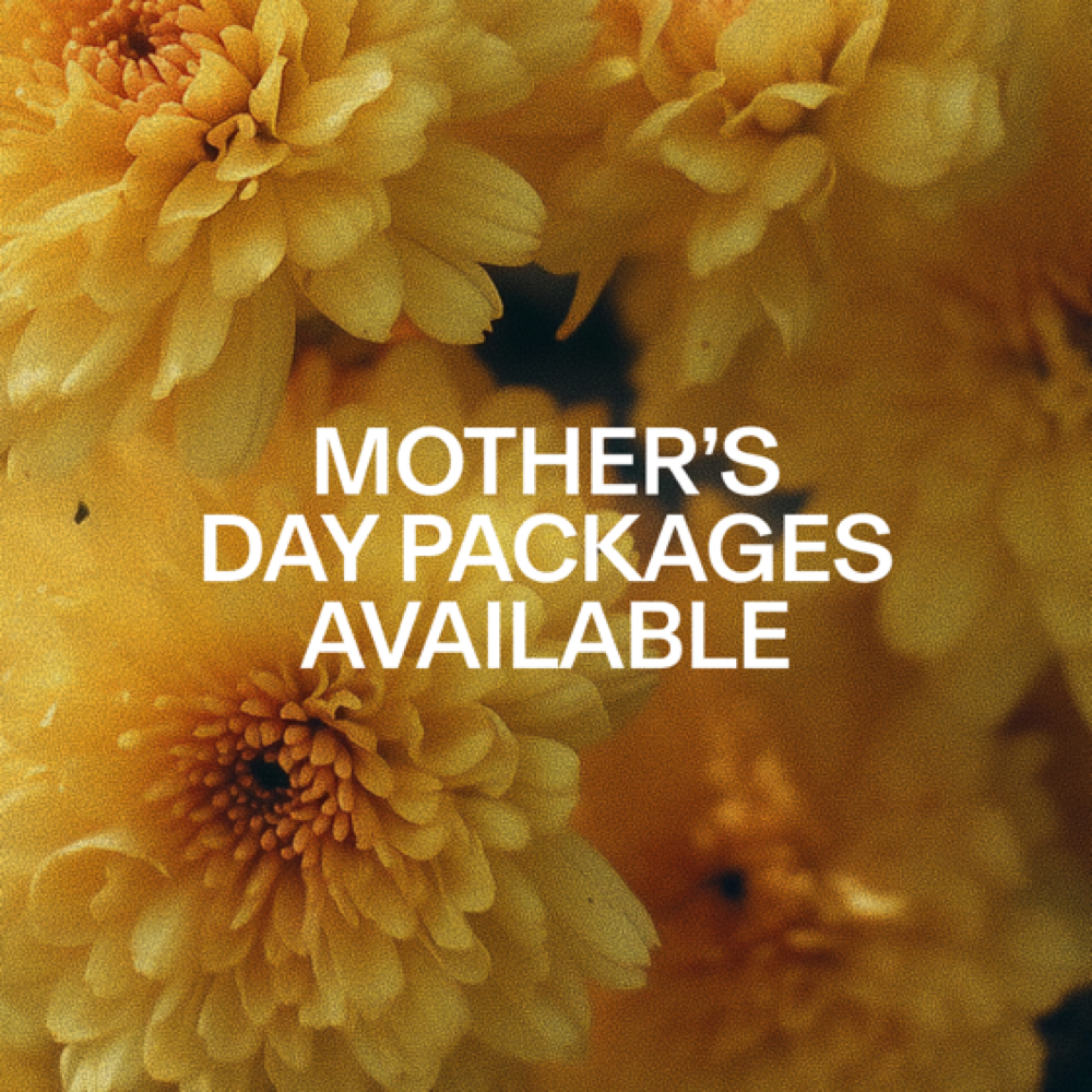 VIP Mom Snatch Package at Iszo Sculpting Llc in Lakewood Co, CO