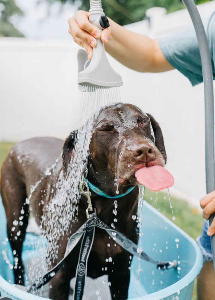 Large Dog Bath Package 46-89lb