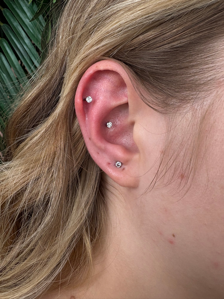 Three Piercings at Wilkey & Co. in Lehi, UT