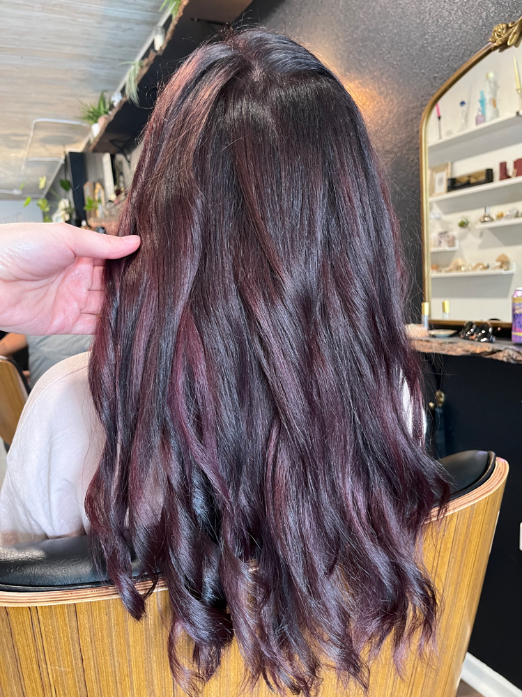 Custom Root Color (No Haircut)