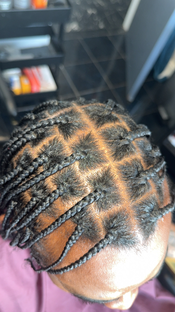 Natural Twists or braids
