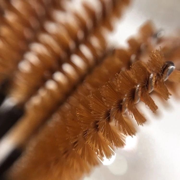 Sable Lash Extentions