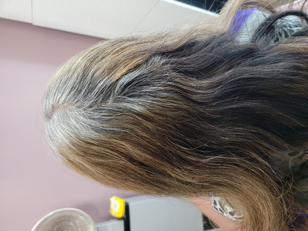 Color Root Retouch &  Blowout