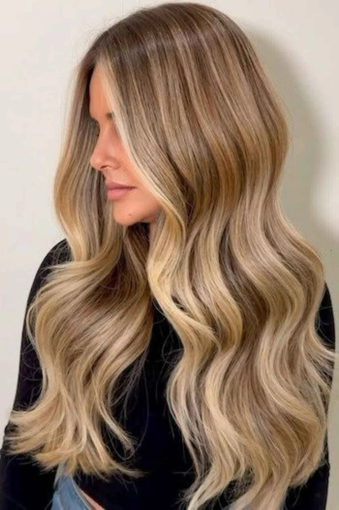 Partial highlights at Albanat hair lounge in Tampa, FL