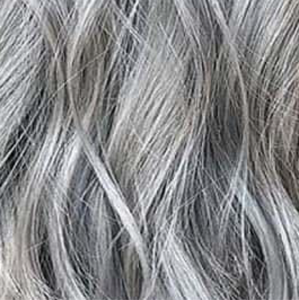 Growing Grey Refresh at Hair by McKayla in Chocowinity, NC