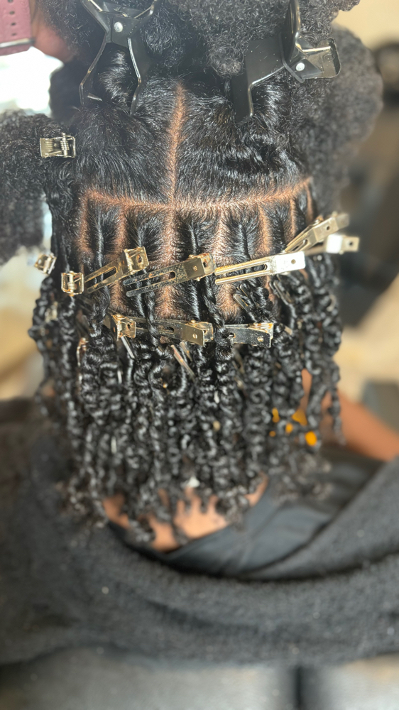 Starter Locs Consultation Required