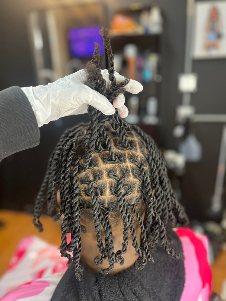 Starter Locs W/ 2 Strand