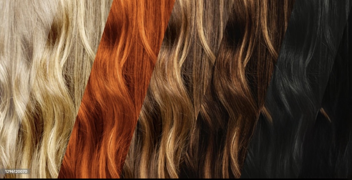 Single Process Color at Faccia Bella Salon in Cohoes, NY