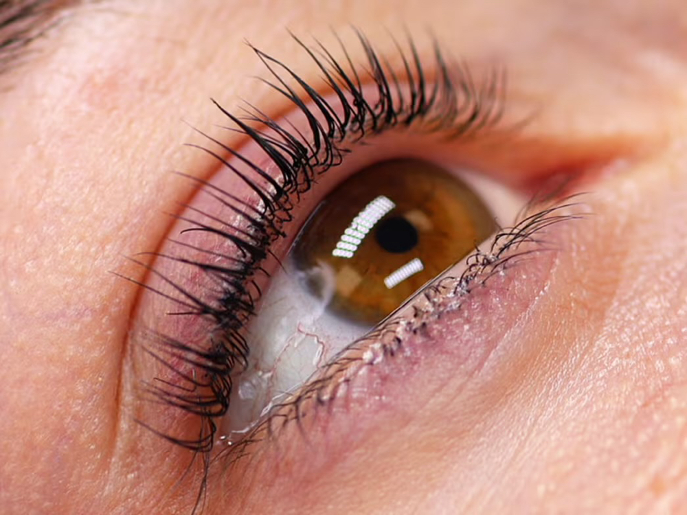 Korean Lash Lift and Tint