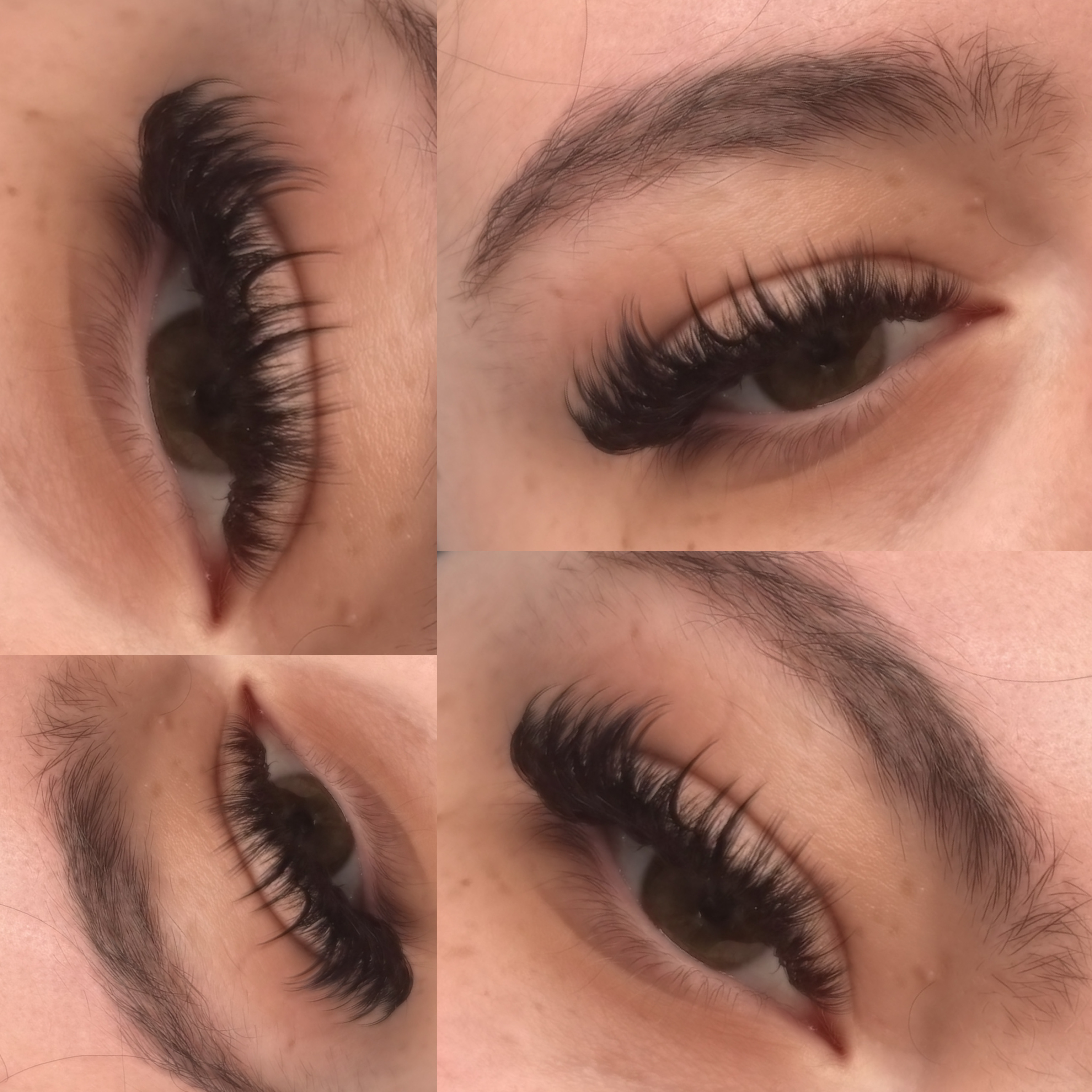 Wispy at Garden Esthetics in Antioch, CA