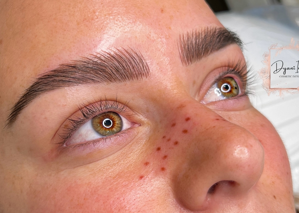 Combo Brows: 1-2 Year Touchup