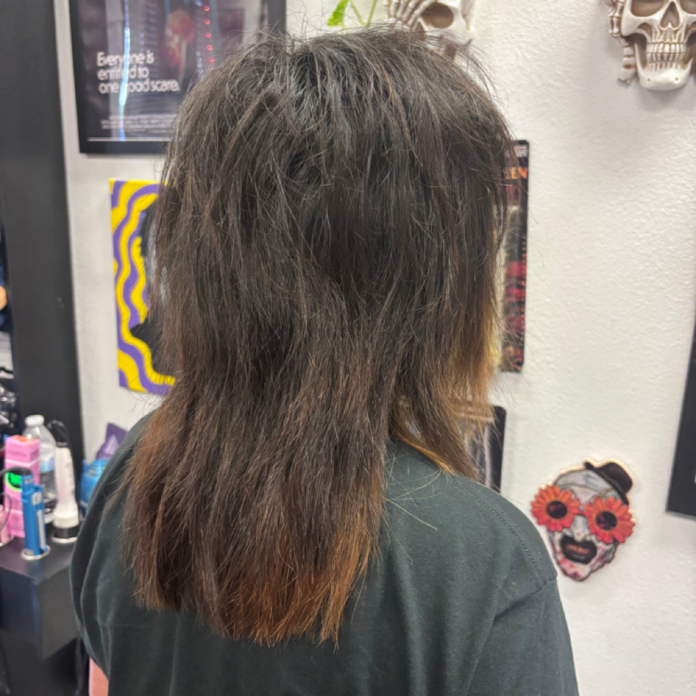 Medium Cut W Amanda at Looks That Kill Salon in Houston, TX