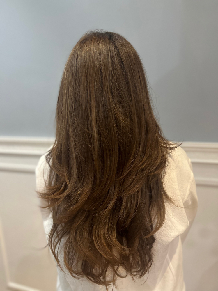 Womens Haircut