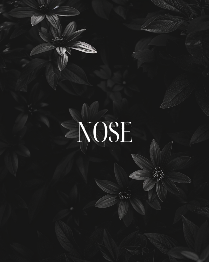 Nose (Inside)