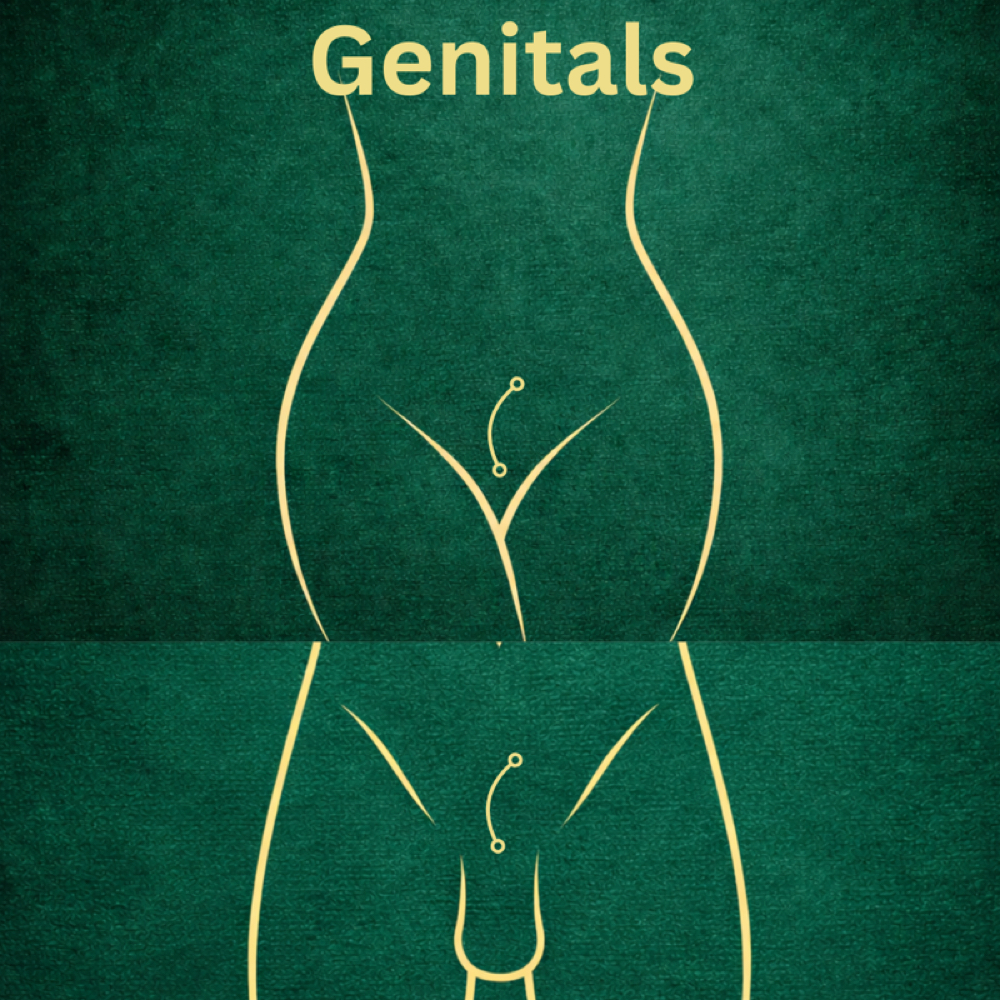 Genital Piercing at Love It or Lose It Tattoo and Body Spa in Royse City, TX