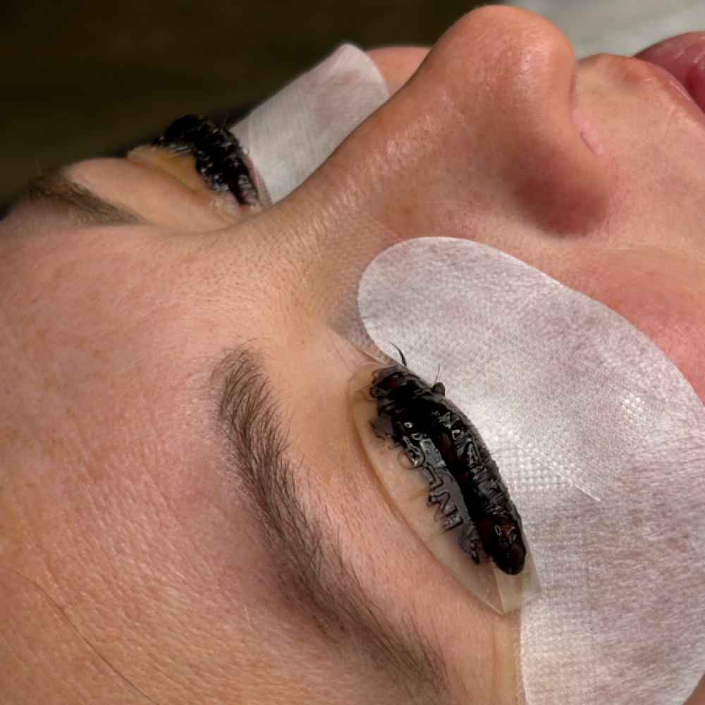 Lash Tint at SnowKissedSkin in Al, AL