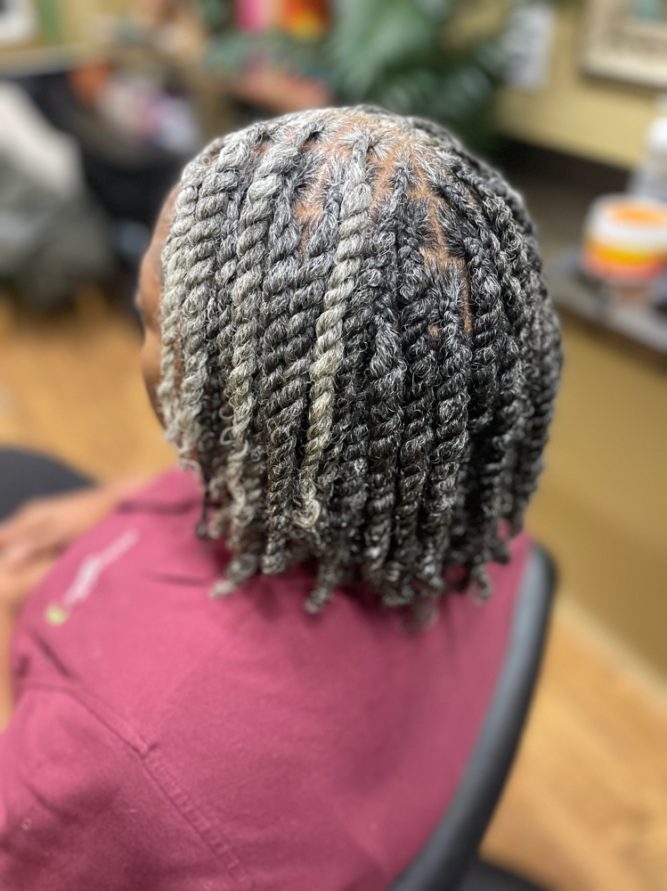 Senior Citizen Two Strand Twists