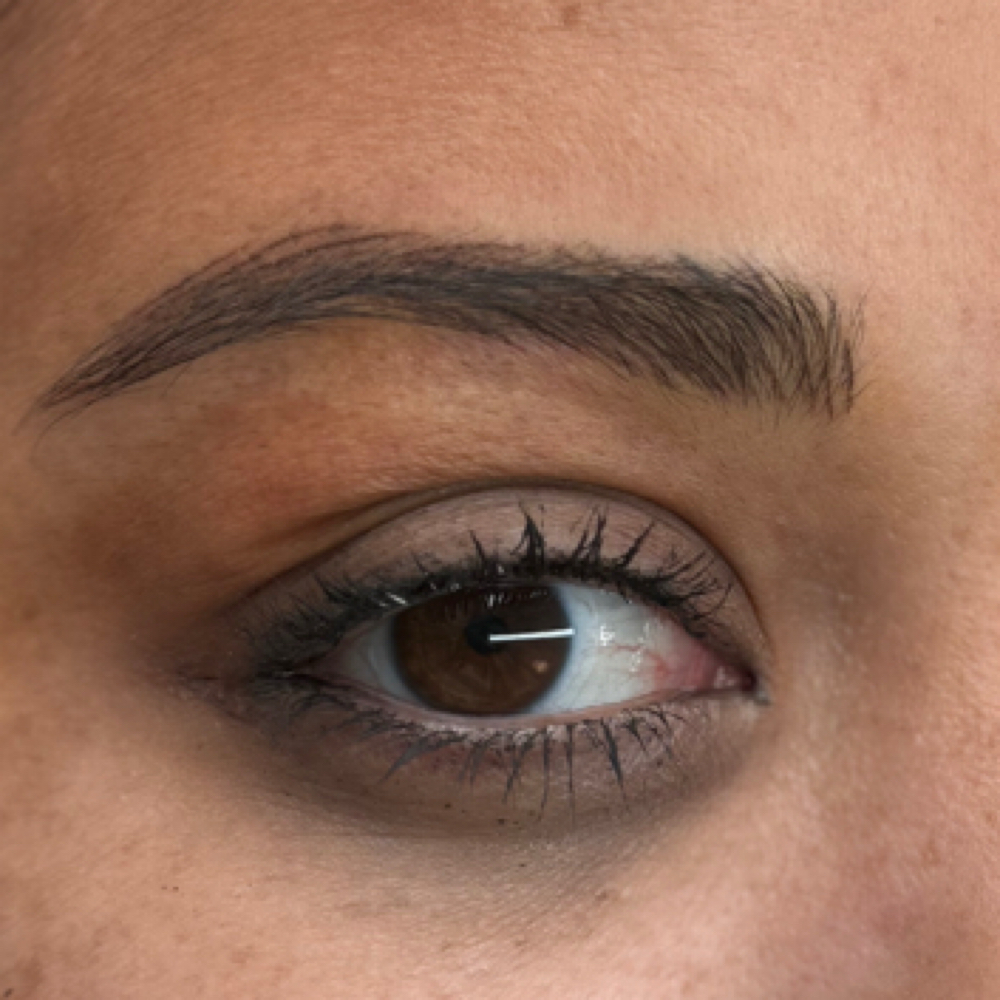 Nano Stroke Brow at The Soft Edit in Littleton, CO