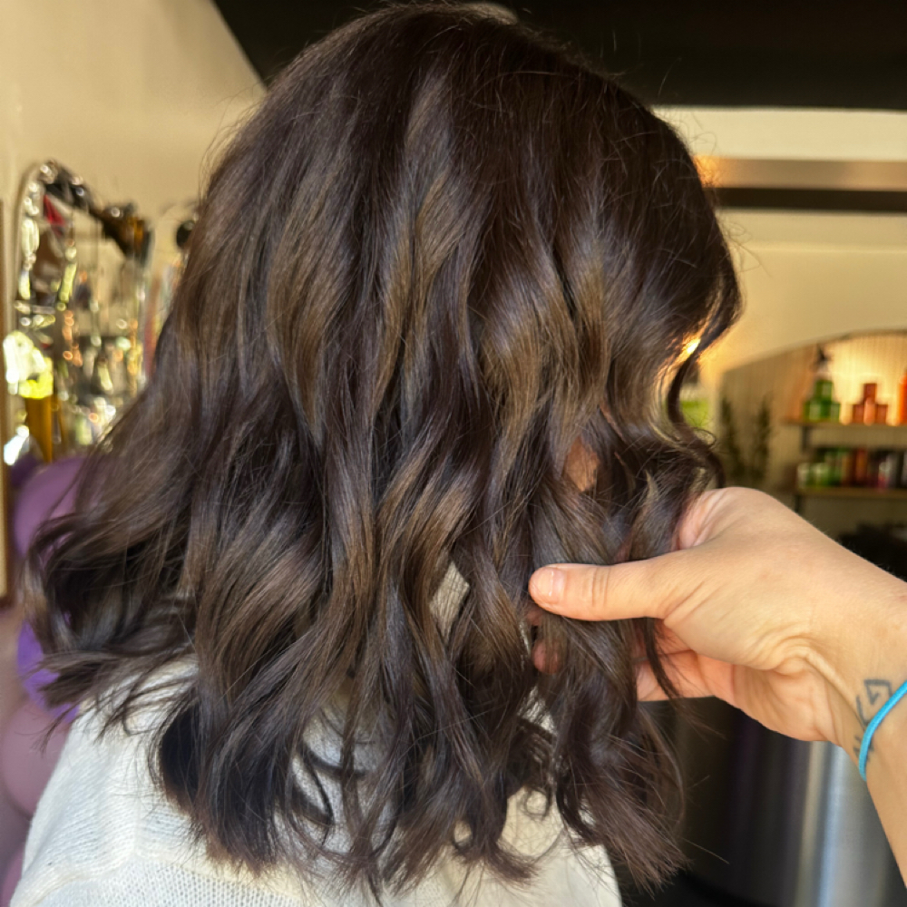 Root Touch Up at Hailey  Soard in New Albany, IN