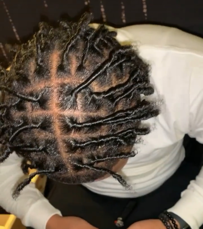 Starter Locs