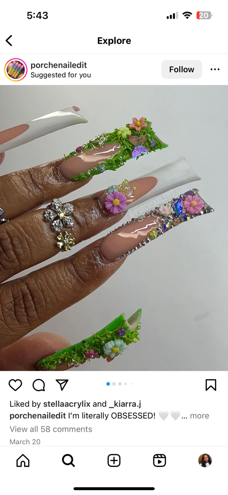 Long Duck Nails